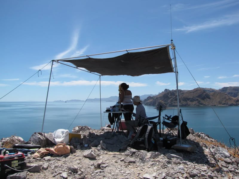Observation station with canopy and islands