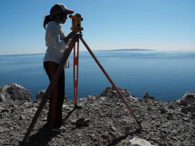 Looking for blue whales